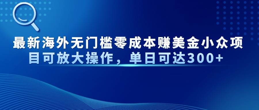 最新海外无门槛零成本赚美金小众项目可放大操作，单日可达300+插图