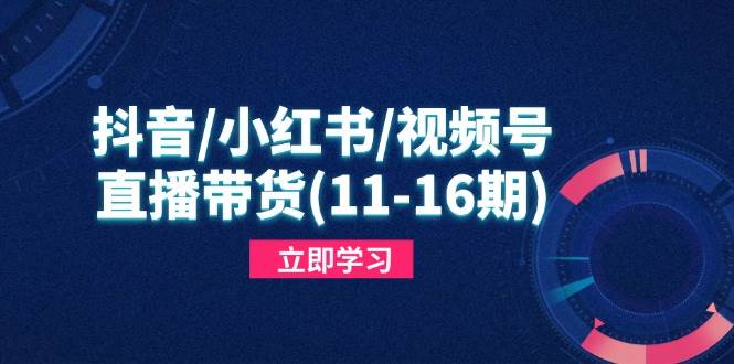 抖音/小红书/视频号/直播带货(11-16期)，快速掌握平台规则，打造爆款内容插图