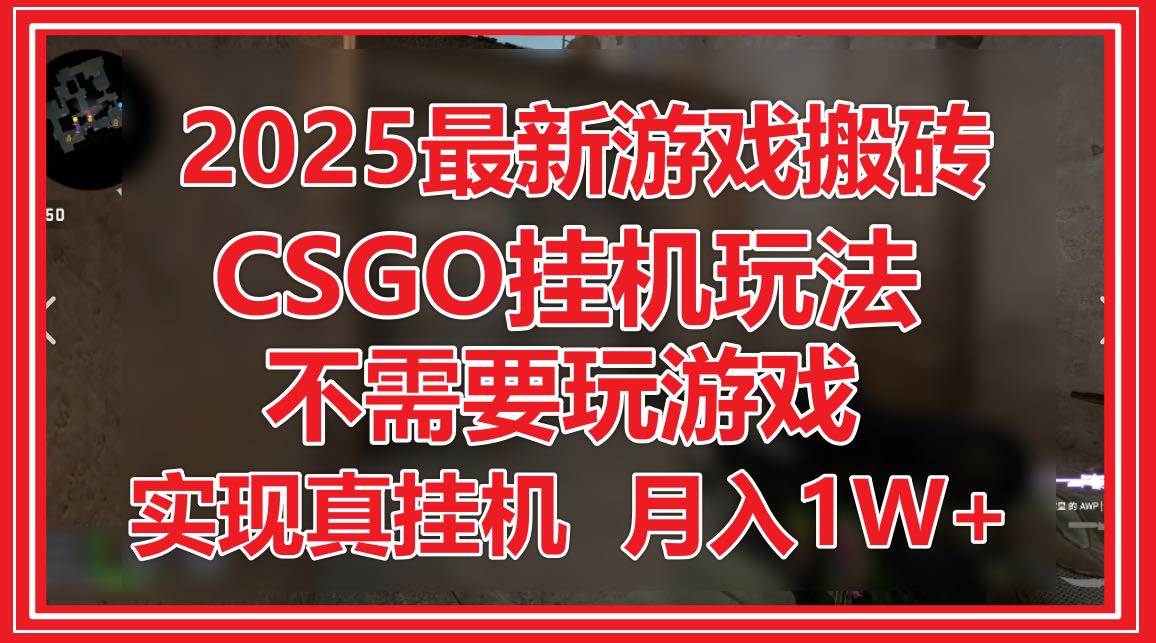 2025最新游戏搬砖，CSGO挂机，不需要玩游戏，实现真挂机，月入1W+插图