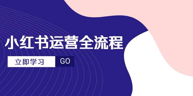 小红书运营全流程，爆款选题文案，视频制作技巧，进阶达人宝典插图