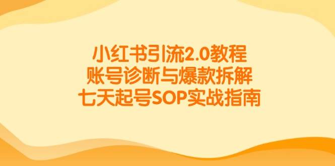 小红书引流2.0教程，账号诊断与爆款拆解，七天起号SOP实战指南插图