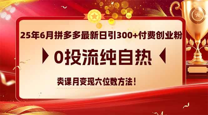 25年6月拼多多最新日引300+付费创业粉，0投流纯自热 卖课月变现六位数方法插图