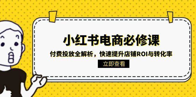 小红书电商必修课：付费投放全解析，快速提升店铺ROI与转化率插图
