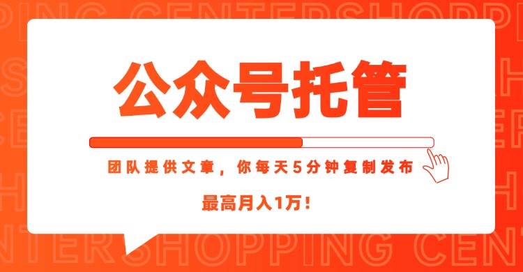 【公众号托管 】我提供文章，你每天５分钟复制发布，最高月入1W插图