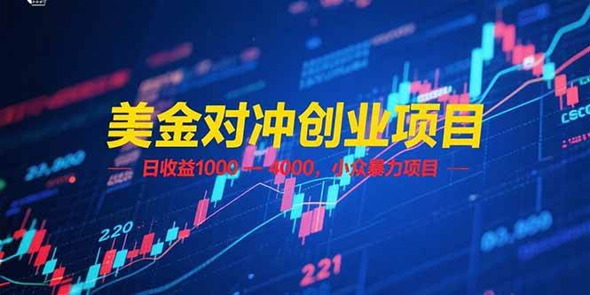 美金对冲创业项目，日收益 1000 – 4000，小众暴力项目插图