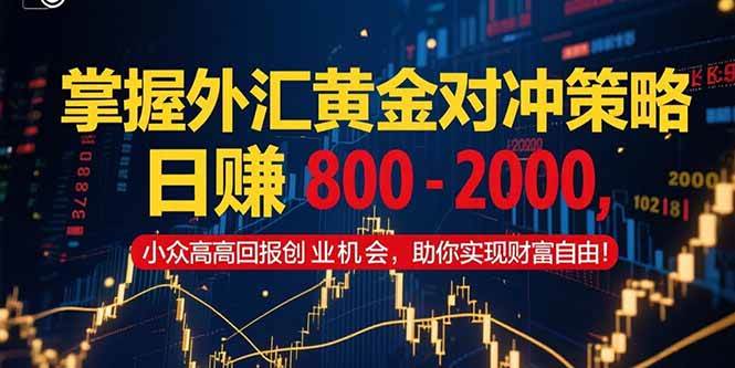 掌握外汇黄金对冲策略，日赚 800 – 2000，小众高回报创业机会，助你实…插图