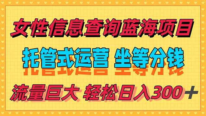 稳定日入300＋，小众信息查询蓝海项目，全程懒人式托管，解放你的时间插图