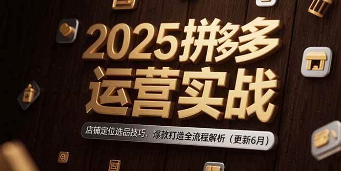2025拼多多运营实战：店铺定位选品技巧，爆款打造全流程解析（更新6月）插图
