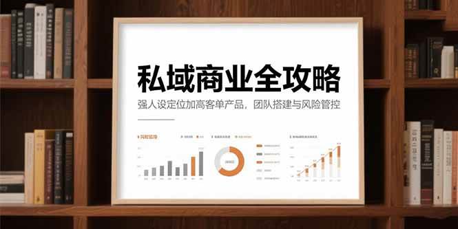 私域商业全攻略，强人设定位加高客单产品，团队搭建与风险管控插图