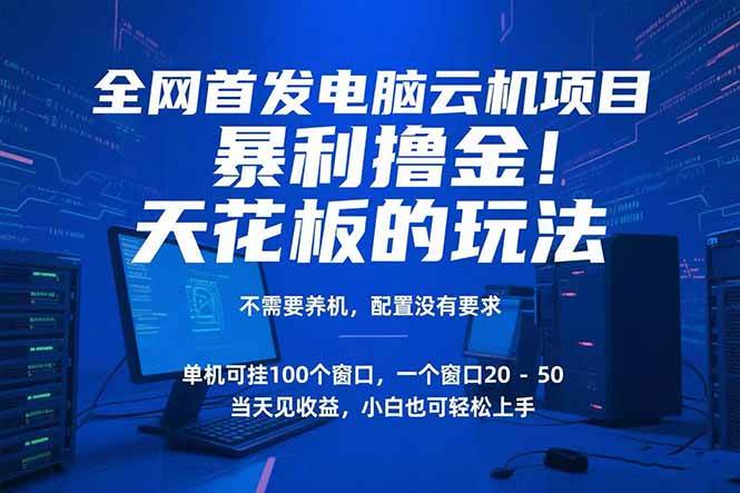 电脑云机项目 暴力撸金玩法，不需要养机 配置没有要求 单机100个窗口一…插图