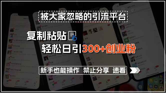 被大家忽略的引流平台，复制粘贴轻松日引300+创业粉，新手也能操作，禁…插图