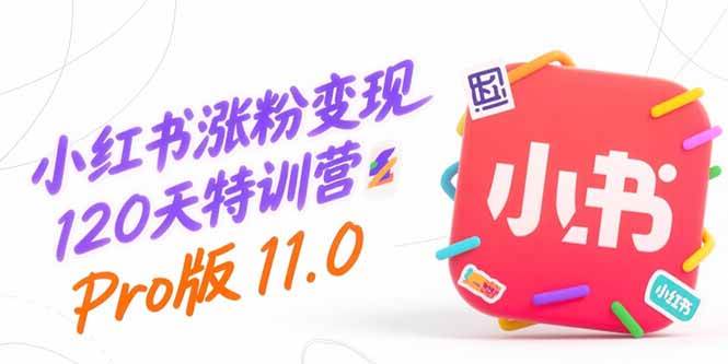 小红书涨粉变现120天特训营Pro版11.0：从0到1掌握平台运营,内容制作和变现插图