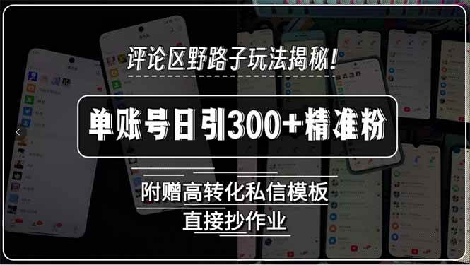 评论区野路子玩法揭秘！单账号日引300+精准粉，附赠高转化私信模板，直…插图