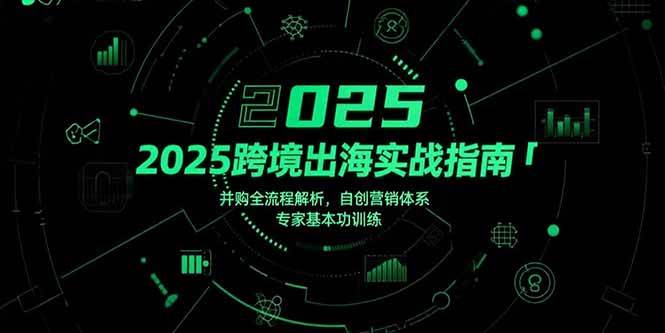 2025跨境出海实战指南,并购全流程解析,自创营销体系,专家基本功训练插图 2025跨境出海实战指南,并购全流程解析,自创营销体系,专家基本功训练