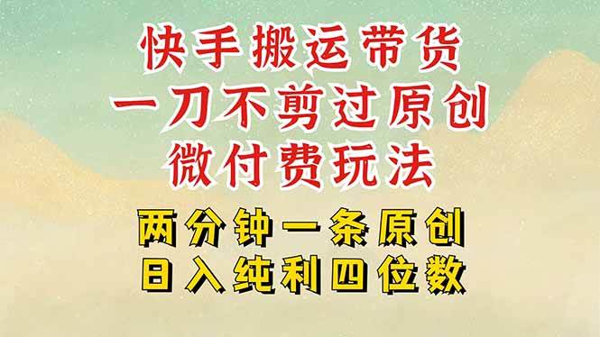快手黑科技搬运带货，一刀不剪过原创，微付费投流玩法，轻松日入四位数…插图