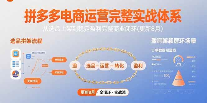 拼多多电商运营完整实战体系，从选品上架到稳定盈利完整商业闭环(更新8月)插图
