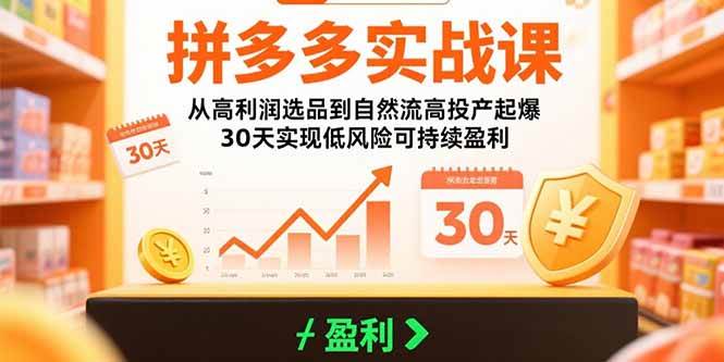 拼多多实战课：从高利润选品到自然流高投产起爆 30天实现低风险可持续盈利插图