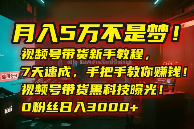 月入5万不是梦！视频号带货新手教程，7天速成，手把手教你赚钱！视频号…插图