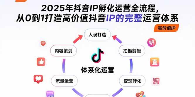 2025年抖音IP孵化运营全流程，从0到1打造高价值抖音IP的完整运营体系插图
