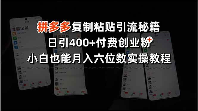 拼多多复制粘贴引流秘籍，日引400+付费创业粉，小白也能月入六位数实操…插图
