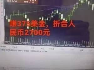 稳定8年的美刀搬砖项目，单人每日收益800—3000.团队4人月入10W+.可线下插图2