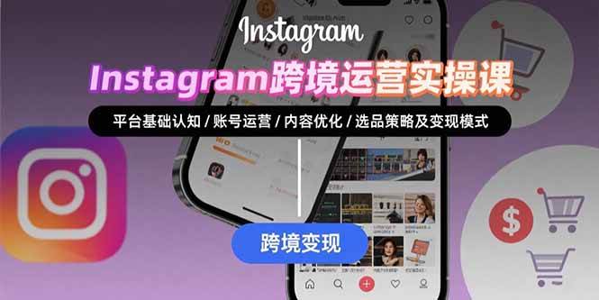 Instagram跨境运营实战：平台认知/账号运营/内容优化/选品策略及变现模式插图