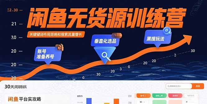 闲鱼无货源训练营：账号准备养号/垂直化选品/黑搜玩法，0基础30天盈利指南插图