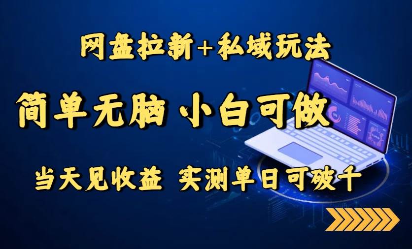 网盘拉新+私域玩法，简单无脑，小白可做，当天见收益，实测单日可破千插图