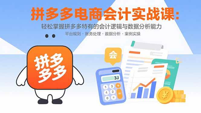 拼多多电商会计实战课：轻松掌握拼多多特有的会计逻辑与数据分析能力插图
