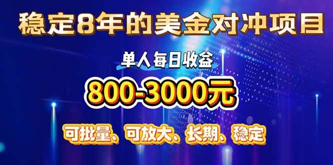 稳定8年的美金对冲创业项目，单人每日收益800-3000，小众暴力项目插图