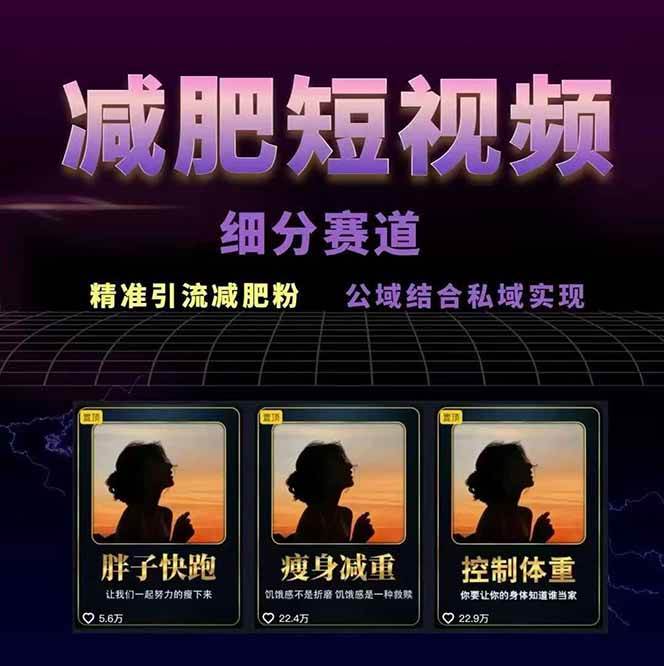 减肥短视频赛道运营课:素材准备-视频制作-引流变现全流程 (附素材)插图2 减肥短视频赛道运营课:素材准备-视频制作-引流变现全流程 (附素材)
