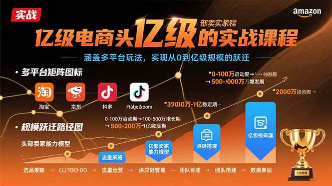 亿级电商头部卖家的实战课程：涵盖多平台玩法，实现从0到亿级规模的跃迁插图