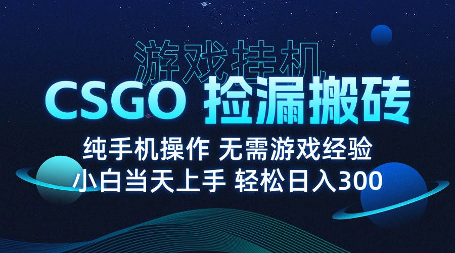 8月最新游戏搬砖，CSGO纯挂机，不需要玩游戏，实现真挂机，月入1W+插图
