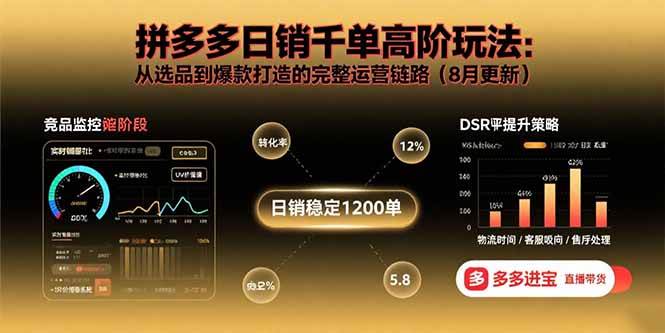 拼多多日销千单高阶玩法：从选品到爆款打造的完整运营链路（8月更新）插图