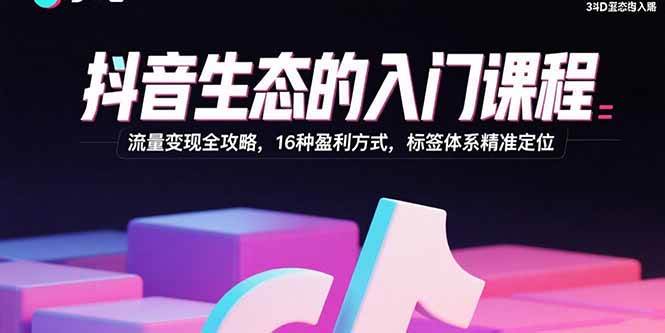 抖音生态的入门课程：流量变现全攻略，16种盈利方式，标签体系精准定位插图