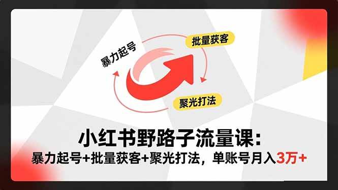 小红书野路子流量课:暴力起号+批量获客+聚光打法,单账号月入3万+