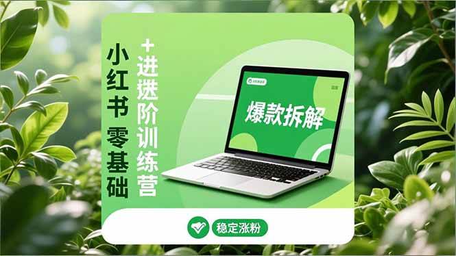 小红书零基础+高阶训练营：安全养号、爆款拆解、长效运营，实现稳定涨粉与变现