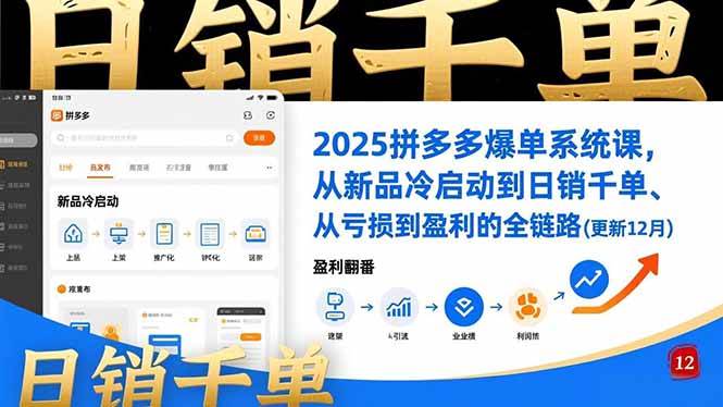 2025拼多多爆单系统课，从新品冷启动到日销千单、从亏损到盈利的全链路（更新12月）