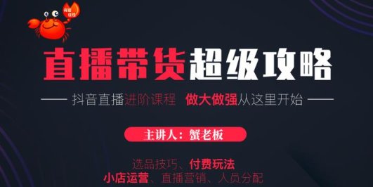 抖音直播带货超级攻略:抖音直播带货的详细玩法,小店运营、付费投放等
