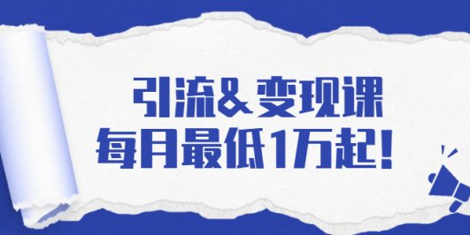 引流&变现课:分享一整套流量方法以及各个渠道收入,每月最低1万起!