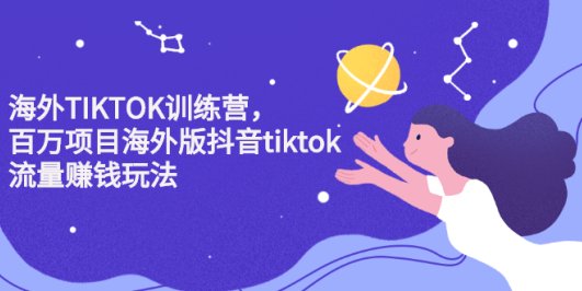 海外TIKTOK训练营,百万项目海外版抖音tiktok流量赚钱玩法