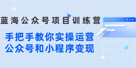 蓝海公众号项目训练营,手把手教你实操运营公众号和小程序变现
