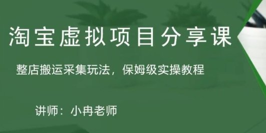 淘宝虚拟整店搬运采集玩法分享课:整店搬运采集玩法,保姆级实操教程