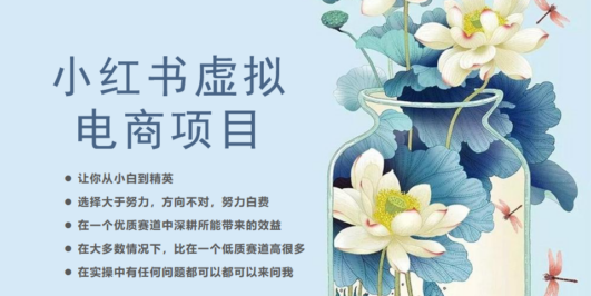 小红书虚拟电商从0到1,让你从小白到精英(20节实操课程)