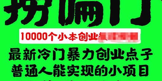 千款捞偏门小本创业小项目,总有一款适合你【无水印】