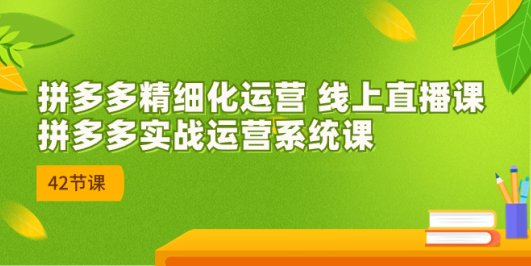 2023年8月新课-拼多多精细化运营 线上直播课:拼多多实战运营系统课-42节