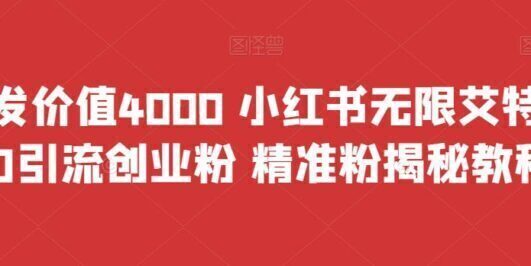 首发价值4000 小红书无限艾特暴力引流创业粉 精准粉揭秘教程