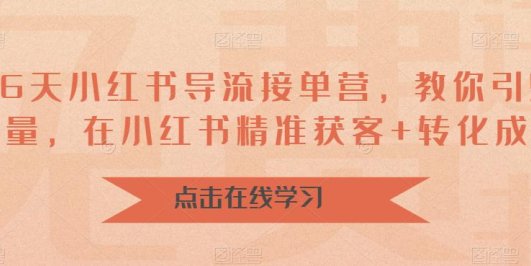 16天-小红书 导流接单营,教你引爆流量,在小红书精准获客+转化成交