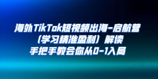 海外TikTok短视频出海-启航营(学习精准盈利)解读,手把手教会你从0-1入局
