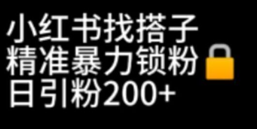 小红书找搭子暴力精准锁粉+引流日引200+精准粉